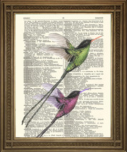 Lungo Coda Uccelli Arte : Amore Romantico Regalo da Parete Su Vintage Dizionario - £5.32 GBP