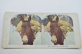 Antique Stereoview Card No. 432 &quot;Jennie&quot; Our Pet Mule Vintage Collectible - £10.03 GBP