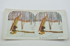 Stereoview By T. W. Ingersoll No. 463 &quot;The Drop&quot; On A Bunch Of Elk Antique 1898 - £11.62 GBP
