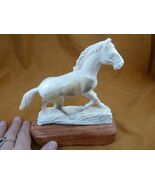 (Hor-w19) wild running Horses of shed ANTLER figurine Bali detailed stal... - €768,56 EUR