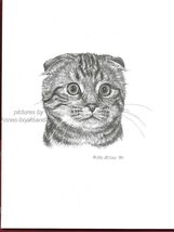 #392 SCOTTISH FOLD CAT PORTRAIT art print  *  pen &amp; ink drawing by Jan J... - $12.50