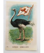 1910&#39;s Tobacco Silk Ostrich &amp; Flag of Somaliland # 15 in Series - $14.00 CAD
