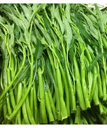 50+ Water Spinach seeds - $12.00