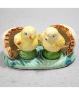 Hatched Baby Chick&#39;s Salt &amp; Pepper Shakers With Broken Hatched Eggs Hold... - $229.99 MXN