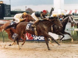 Dvd   1988 Breeders&#39; Cup...Personal Ensign/Alysheba/Miesque/Easy Goer/Open Mind - £31.44 GBP
