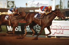 DVD - 1992 BREEDERS&#39; CUP...A.P. INDY/Eliza/FRAISE/Paseana/LURE/Gilded Time - £31.45 GBP