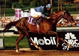 Dvd   1993 Breeders&#39; Cup...Arcangues/Lure/Brocco/Hollywood Wildcat/Kotashaan - £31.96 GBP