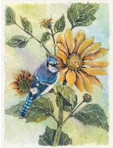 Sunflower Blue Jay Cross Stitch Pattern***LOOK*** - $2.95