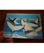 (POST-8) Lenticular 3D Postcard Humpback whale ocean spy hopping tails w... - $9.49