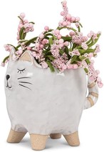 Abbott Collection 27-Critter-201 Small Cat With Tail Planter, 4&quot; L - £34.80 GBP