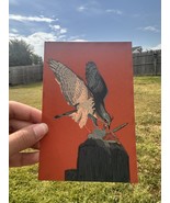 Eurasian Sparrowhawk Individual Post Card - $93.47 MXN