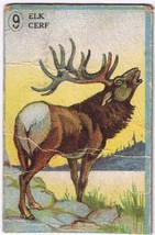 Cowan Co Toronto Animal Card # 9 Elk Coupon Removed - £2.32 GBP