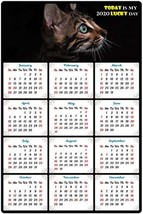 2020 Magnetic Calendar - Calendar Magnets - Today is My Lucky Day - Cat ... - £12.65 GBP