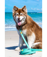 Island Vibes Waterproof Dog Leash Standard Length - £33.62 GBP