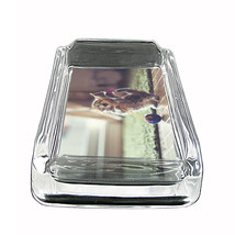 Funny Cat Glass Ashtray D1 4&quot;x3&quot; Silly Crazy Meow Cool Kitten - £38.73 GBP