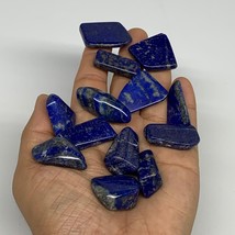 112.6g,0.8&quot;-1.4&quot;, 13pcs, Natural Lapis Lazuli Tumbled Stone @Afghanistan, B30290 - £10.90 GBP