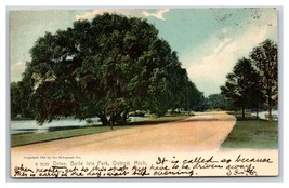 Drive in Belle Isle Park Detroit Michigan MI Rotograph UDB Postcard O20 - £3.02 GBP