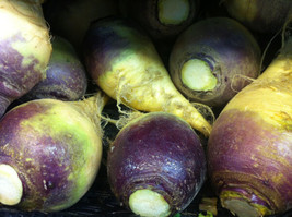 FA Store Rutabaga American Purple Top 920 Seeds  - £5.57 GBP