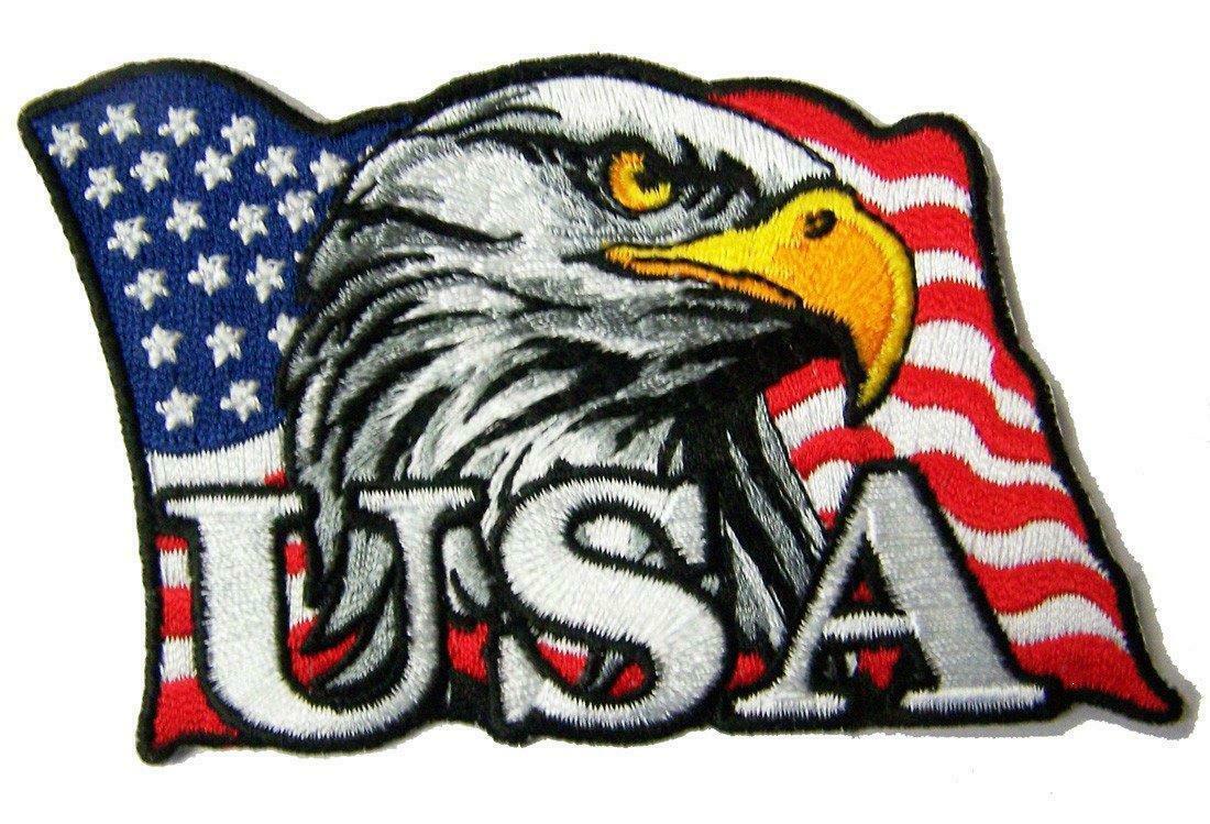 EAGLE HEAD AMERICAN FLAG EMBROIDERED PATCH PA8010 biker new iron on patches - $6.60