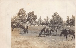 Cornish Nh 1907 Real Photo Postcard Horses GRAZING-LARGE House &amp; Stone Wall - £7.40 GBP