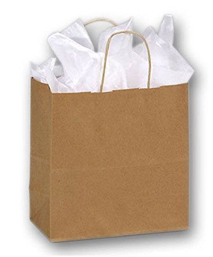 EGPChecks Paper Shoppers Bag, Size 10 x 5 x 10 Kraft Color 250 Bags - $124.91 - $154.59