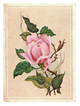 Victorian Trade Card Heekin&#39;s Manilla Coffee White Cap Baking Powder Pink Rose - £10.89 GBP