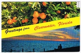 Florida Postcard Clearwater Beach Oranges Sunsey - £2.31 GBP