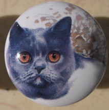 Cabinet Knobs Monica Heller Cole Blue Russian cat - £4.06 GBP