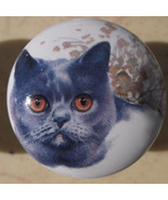 Cabinet Knobs Monica Heller Cole Blue Russian cat - $7.12 CAD