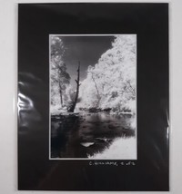 Black Mat Photo Landscape Park Infrared Photography Limited Ed 2/2 Signe... - $50.62