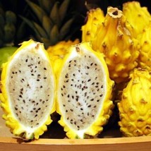 Sweet Yellow Dragon Fruit Pitahaya  40 Seeds 2024   From US - $10.99