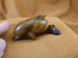 (Y-DOL-SW-729) Golden tiger&#39;s eye DOLPHIN swimming gemstone FIGURINE dol... - $23.36