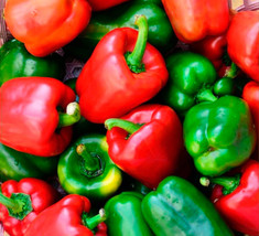 Item image 1 image 1