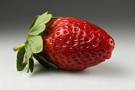 Professional Pack, Fragaria Garden Strawberry, Roman F1 Dark Red Strawberry, 500 - £19.31 GBP