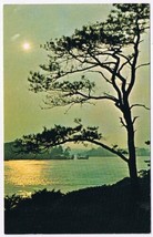 Advertising Card St Lawrence Islands Park Pitch Pine &amp; Island Shores - £2.31 GBP