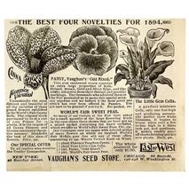 Item image 1 image 1