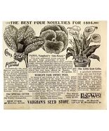 Vaughans Seed Store Flowers 1894 Advertisement Victorian Floral ADBN1bbb - €17,04 EUR