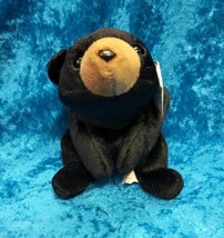 Ty Beanie Baby &quot;BLACKIE&quot; The Bear - Retired 1993 PVC Pellets Tag Errors - $56.83 MXN