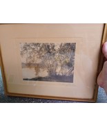 1906 Taber Prang Art Co Clustering Birches Hand Colored Photo 14.5&quot; x 11.5&quot; - $137.33 CAD