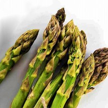 Uc 72 Asparagus Garden Marvelously Productive Best Gardening USA Fast Shipping - $17.53