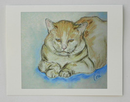 Apricot White Tabby Cat Art Note Cards Solomon - £9.84 GBP