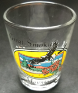 Great Smoky Mountains Shot Glass Colorful Illustrations Eagles on Clear ... - £5.58 GBP