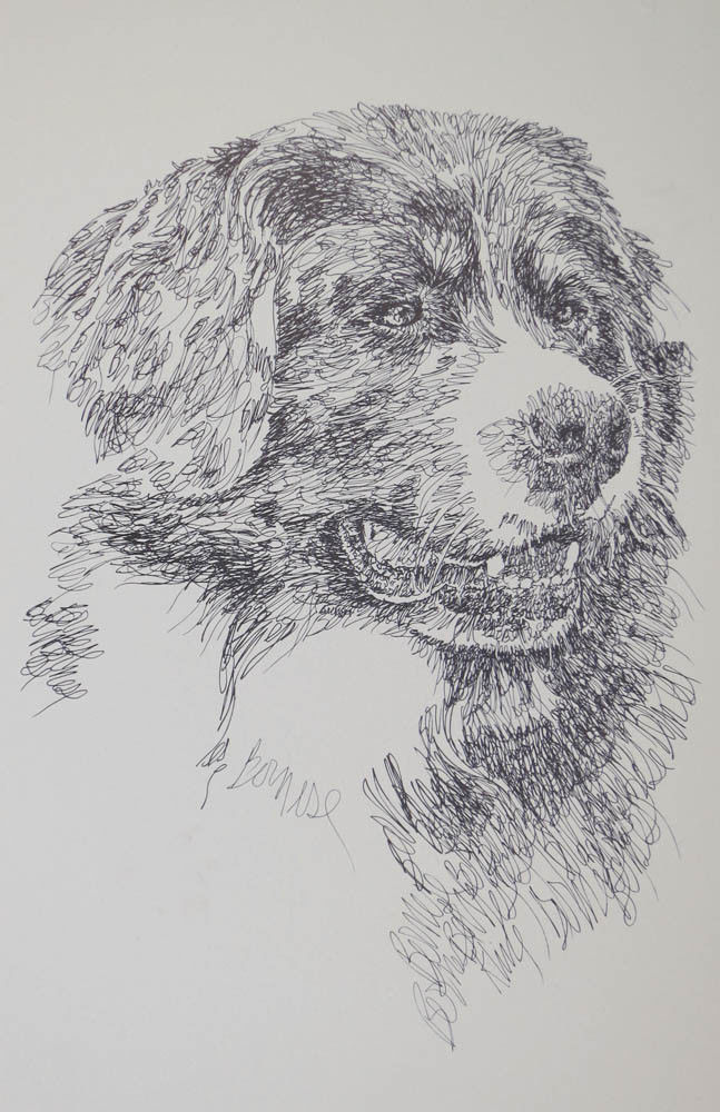 Bernese Mountain Dog Breed Portrait Art #68 Kline will add dogs name free. GIFT