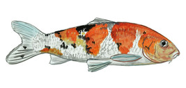 Koi Fish #2 Sticker Decal Home Office Dorm Wall Exclusive Art Tablet Cell Laptop - £5.46 GBP+