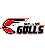 SAN DIEGO GULLS HOCKEY GAMES 1994-95 On DVD &quot; VERY RARE&quot; - £55.08 GBP