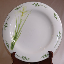 St Andrews Botanics By Doulton &amp; Company Ceramic Dinner Plate 1 Only Tulip Plate - £2.35 GBP