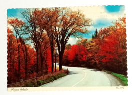 Autumn Splendor Road Pocono Mountains PA Fall Scalloped Dexter Postcard 1950s - $3.99