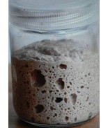 San Francisco SOURDOUGH STARTER 145 yo family heirloom Certified Organic... - €7,30 EUR