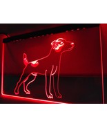 Jack Russell Terrier Pet Illuminated Led Neon Sign Home Decor, Lights Dé... - £20.77 GBP+