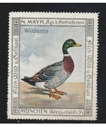 Germany Bird Poster Stamp Mayr Munich - Early 1900's - Wild Duck - Mallard? - $18.07